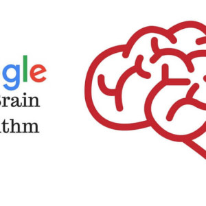 Competition Between Google’s Rank Brain And SEO Brain